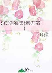 SCI谜案集(第五部)